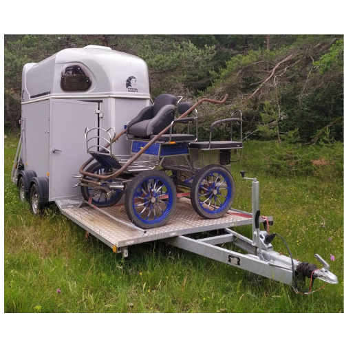 Van 2 P – Liberte-neu Pferdekutschenträger